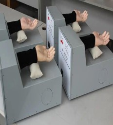 Mô hình biểu hiện mạch chẩn Đông y